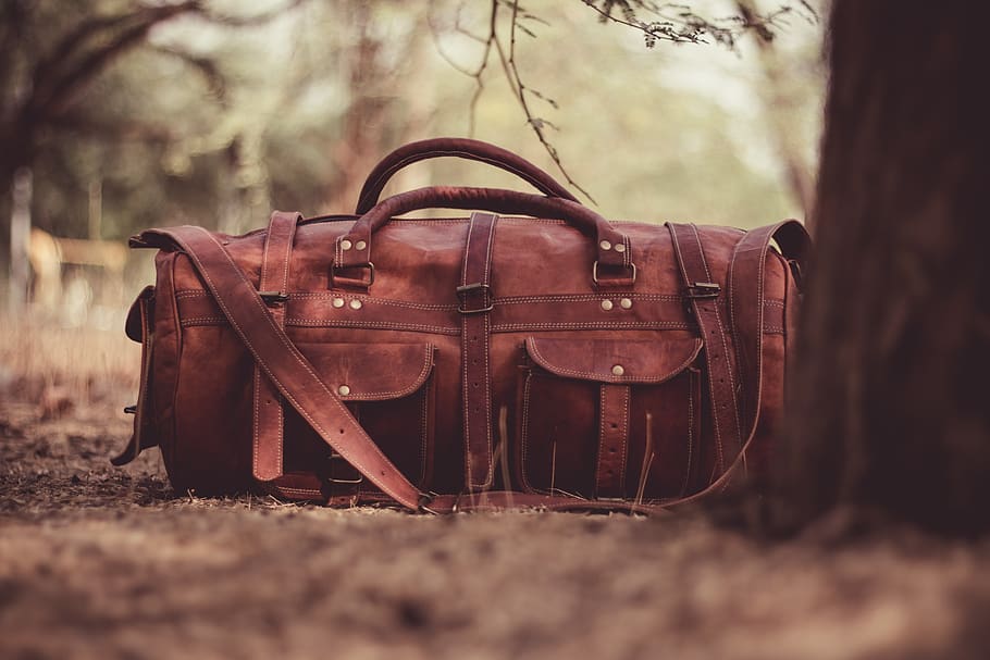 handbag, leather, brown, blur, tree, nature, land, selective focus, day, old