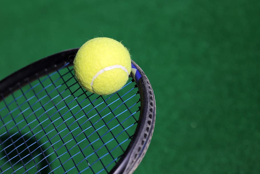 racket, tennis, sport, ball, exercise, players, health, games, leisure, tennis racket