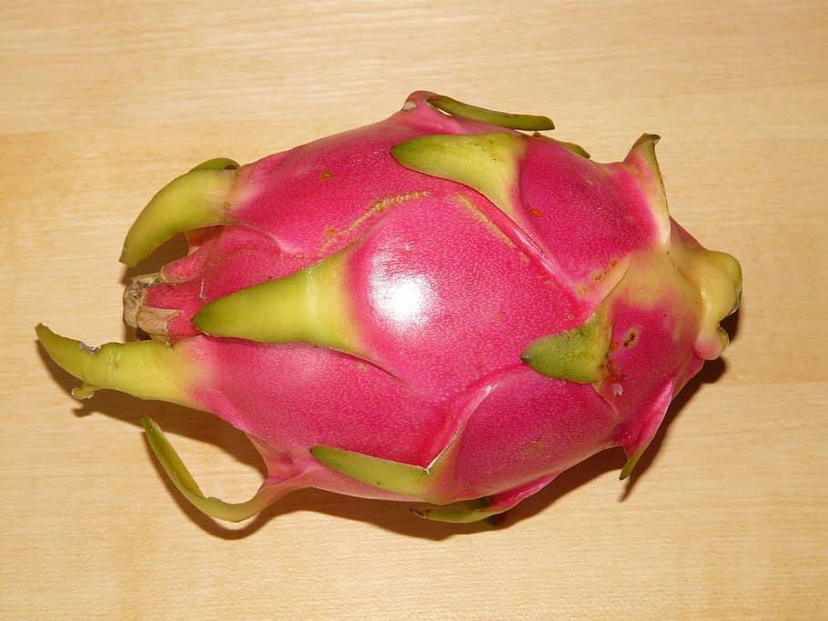 pink dragon fruit, Dragon Fruit, Pitahaya, Pitaya, hylocereus monacanthus, cactus greenhouse, fruit, eat, food, exoticism