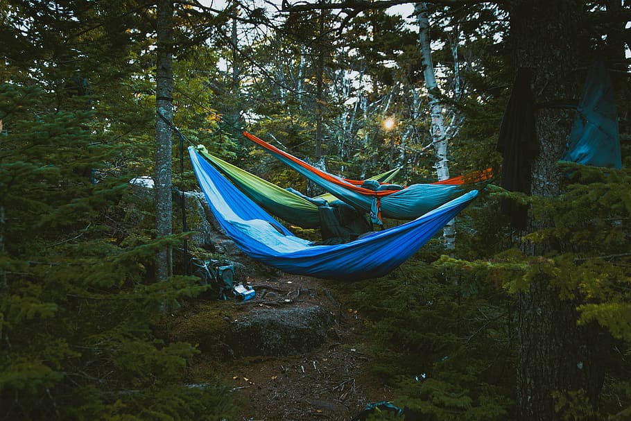 hammock biru, alam, pemandangan, pohon, kayu, hutan, tempat tidur gantung, berkemah, perjalanan, tanaman