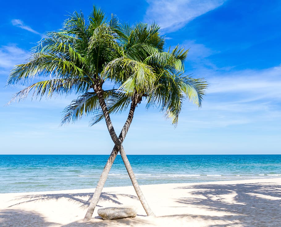 beach illustration, day time, atlantic ocean, background, ao, beach, pretty, blue, peace, caribbean