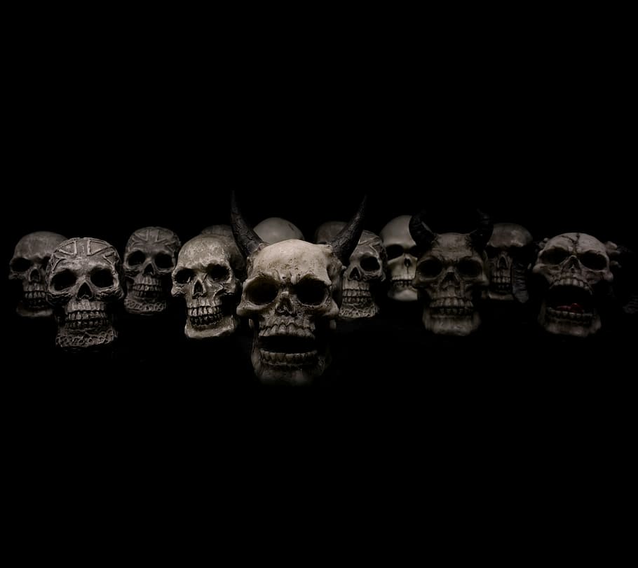 grey skull lot, skulls, horror, death, human skeleton, black background, studio shot, copy space, human skull, spooky