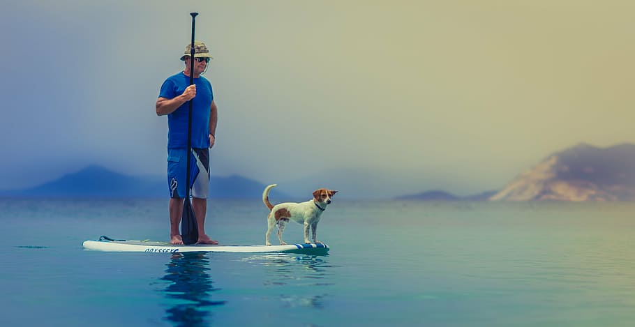 man, jack, russell terrier, standing, paddle board, dog, paddle, board, sea, ocean