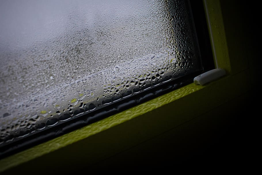 disco, molhado, chuveiro, gota de água, gotejamento, chuva, fundo, agua, vidro, janela