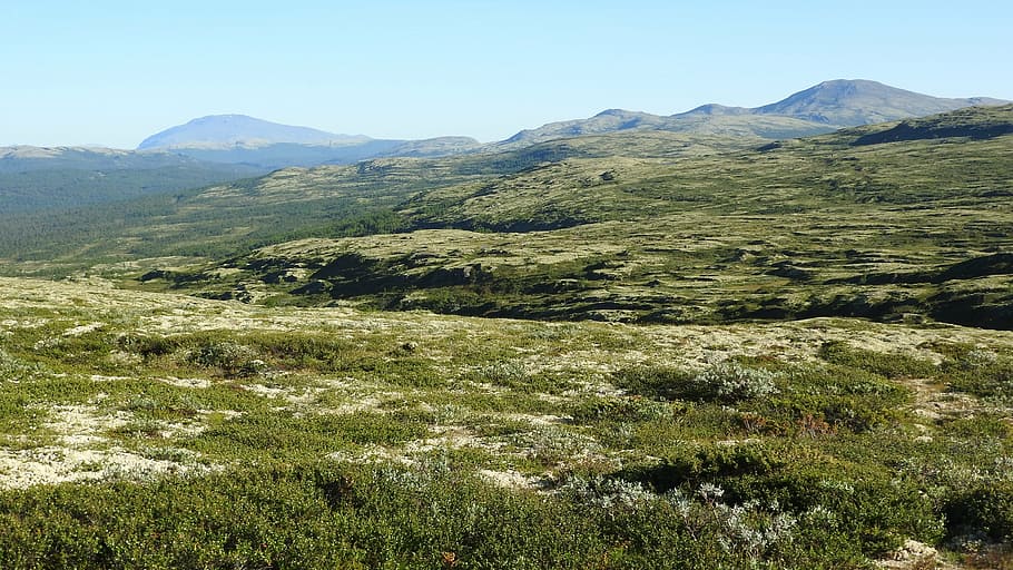 landscape, plains, mountains, tundra, sandbekkdalen, kvikneskogen, norway, mountain, scenics - nature, beauty in nature