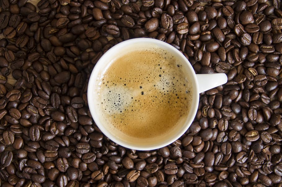 café, feijões, grãos de café, xícara de café, cafeína, bebidas, preto, aroma, beneficiar, marrom