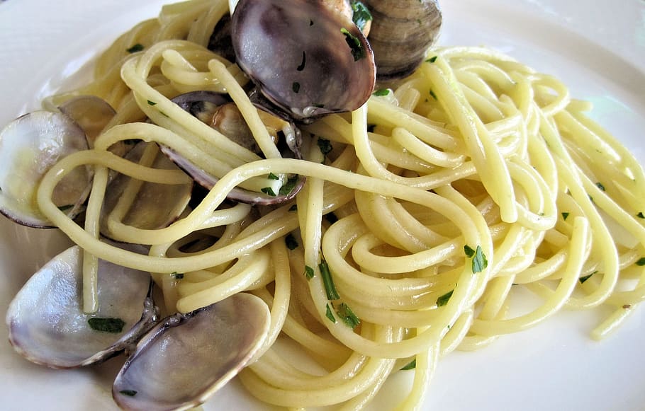 white, pasta, ceramic, plate, spaghetti, clams, garlic, parsley, italian food, food
