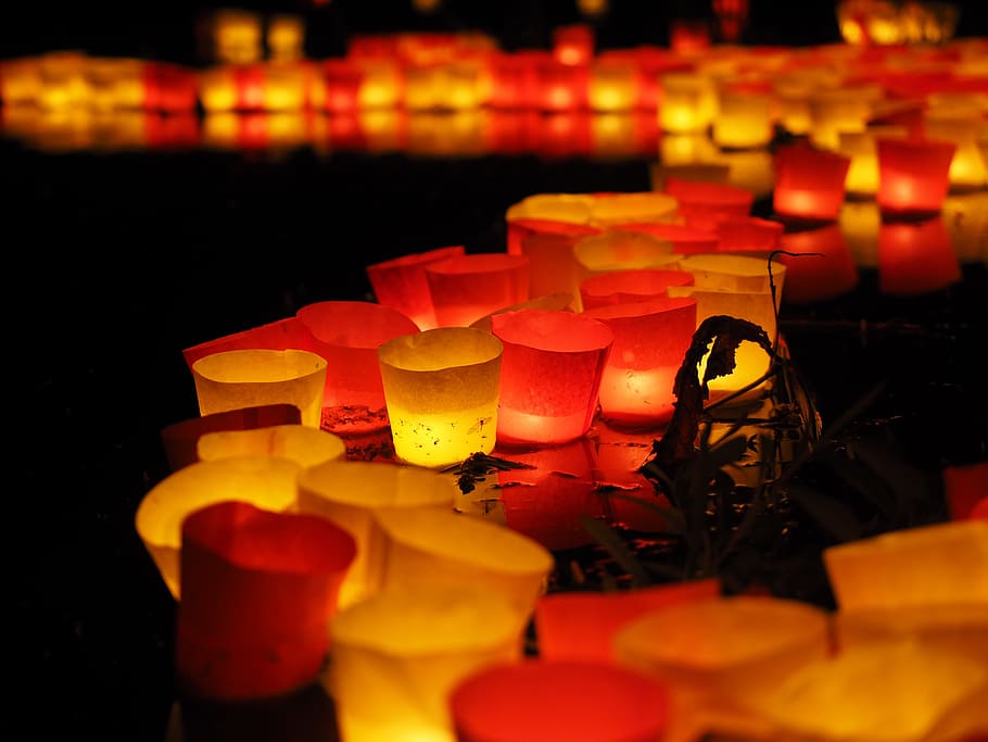 floating candles, candles, Candles, floating candles, lights serenade, river, festival of lights, red, yellow, candlelight, mood