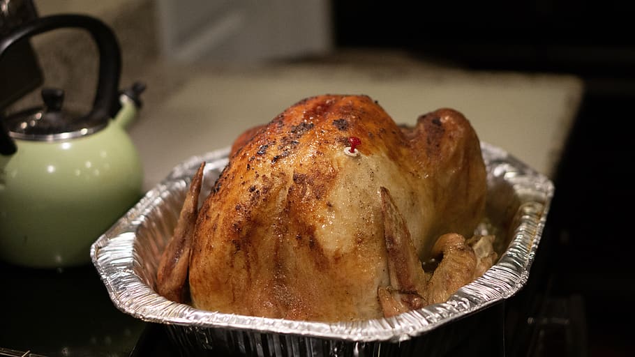 turkey, thanksgiving, cook, holiday, food, poultry, traditional, roast, harvest, kitchen