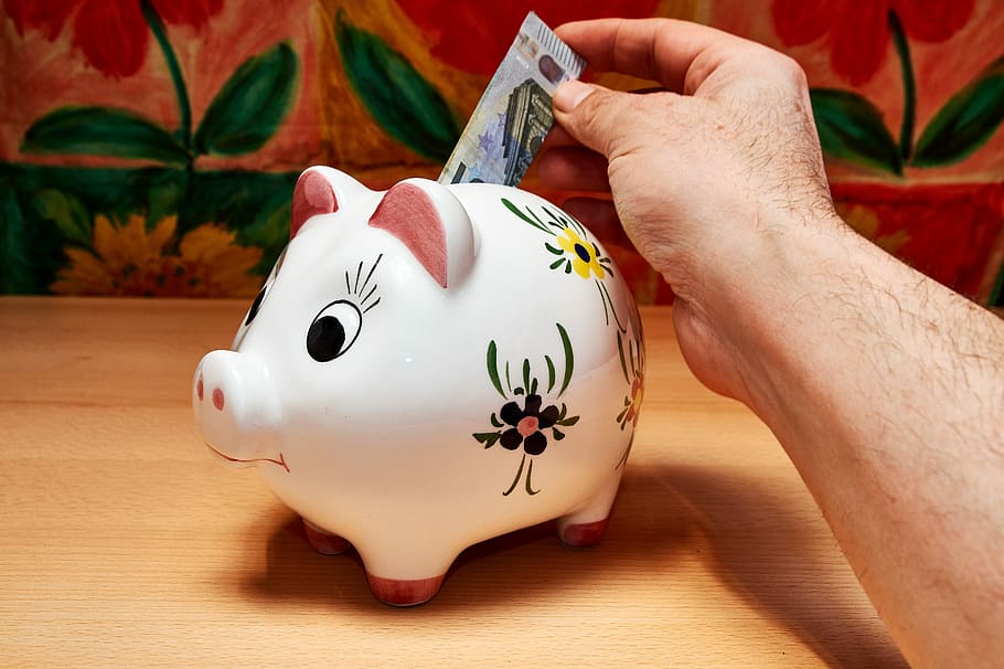 person, putting, banknote, inside, white, ceramic, piggy bank, savings, hand, money