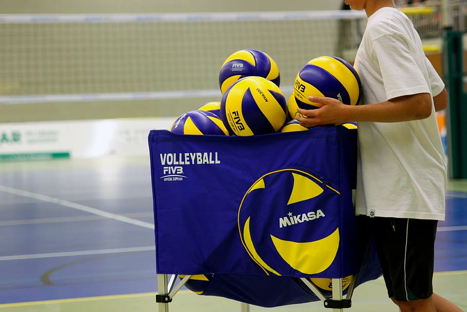 mikasa volleyballs, bag, volleyball, sport, ball, volley, ball sports, ball basket, team sport, competition
