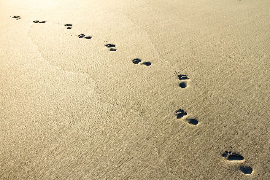 sand footprints, daytime, sand, beach, sunrise, footprints, land, footprint, tranquility, nature