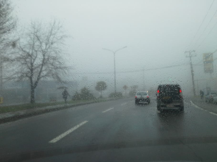 fog, rent a car, road, transportation, mode of transportation, motor vehicle, car, land vehicle, nature, wet