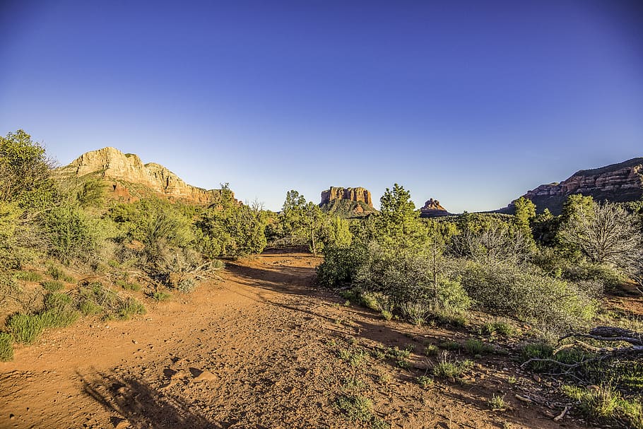 Природа на юго западе. Юго Запад США природа. Природа Юго Запада. Скалистая трава. Nature in Arizona.