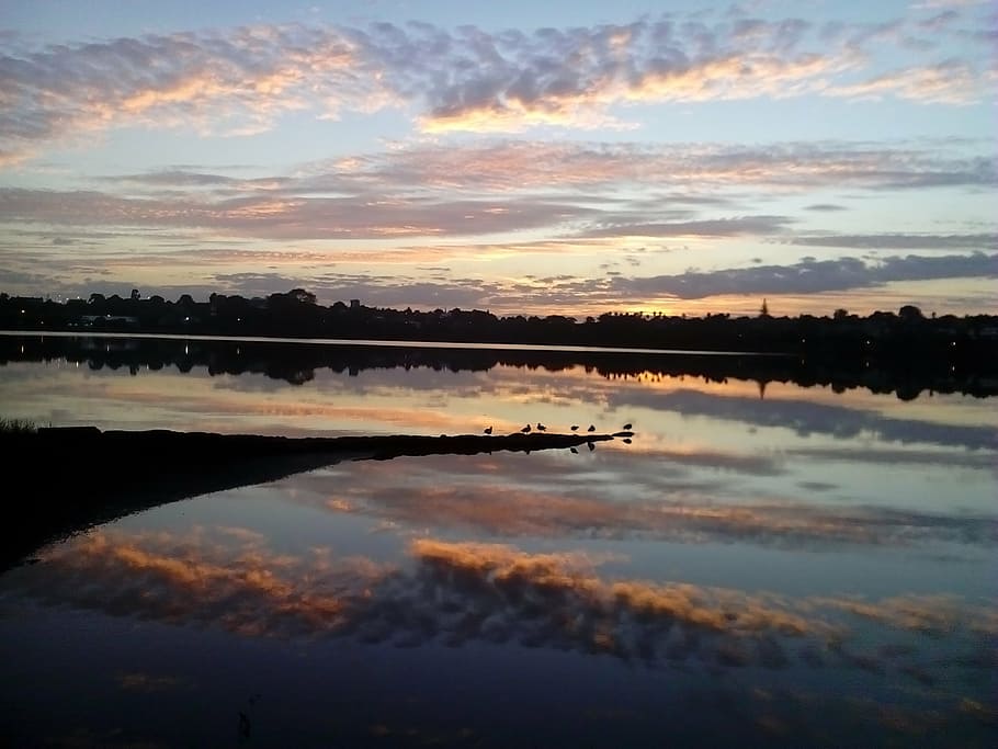 sunrise, waipuna, auckland, lagoon, birds, clouds, landscape, environment, ducks, nature