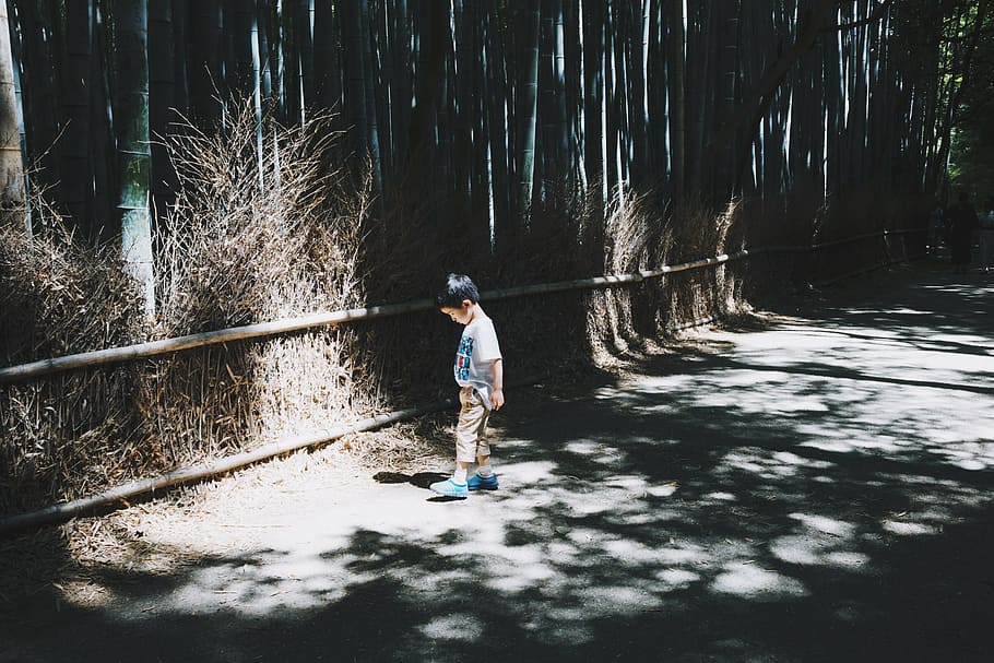 boy, looking, sunlit pathway, people, kid, child, walking, alone, road, outdoor