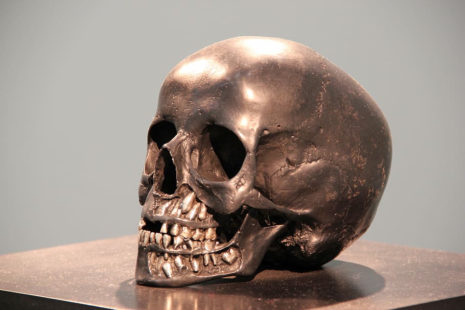 gray, skeleton skull figure, skull, bronze, head, statue, horror, metal, brass, bushing