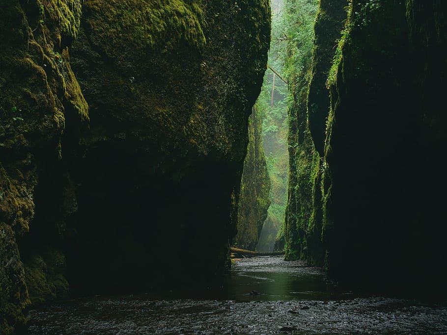 green rocks, gorge, canyon, steep, walls, mythical, pathway, scenic, mystery, footpath