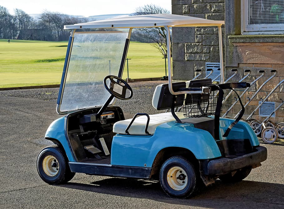 blue, white, golf cart, golf, buggy, cart, leisure, lifestyle, green, sport