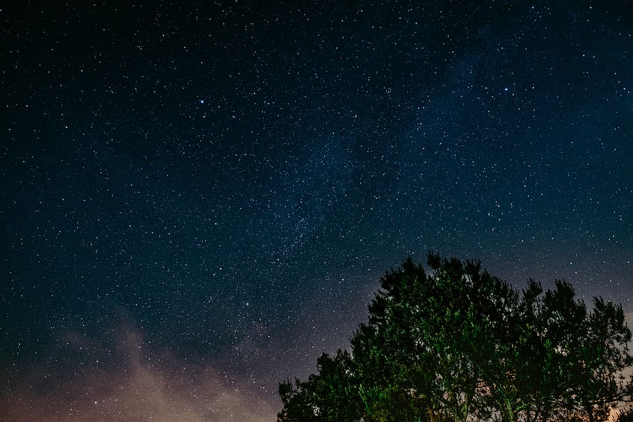 céu, noite, estrelas, árvores, galáxia, escuro, natureza, espaço, nuvens, árvore