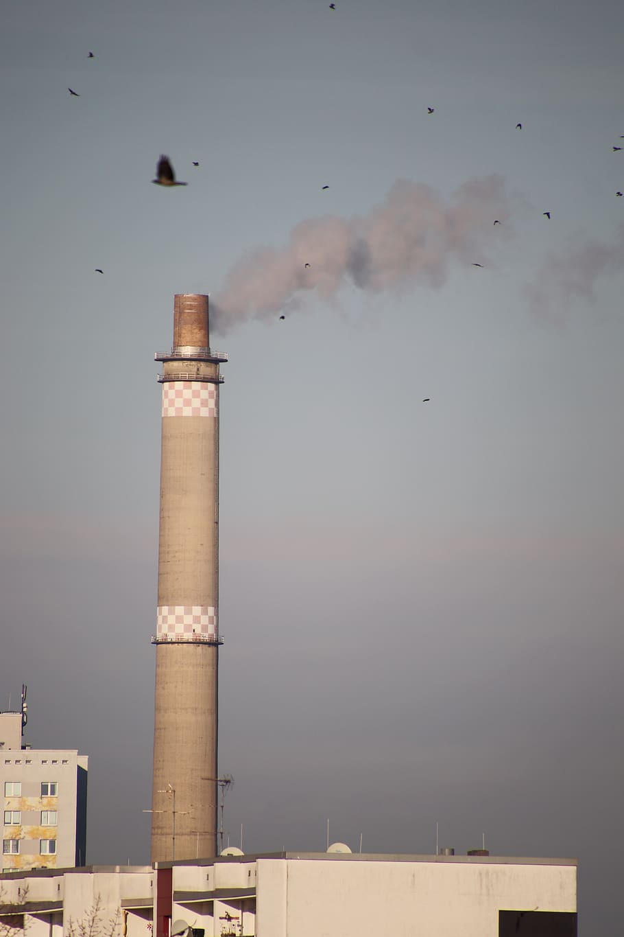 chimney, smoke, crow, dig, heat and power plant, industrial plant, industry, pollution, power plant, sky