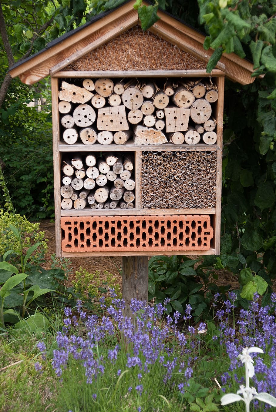 insect hotel, nützlingshotel, garden, plant, flower, flowering plant, growth, nature, day, beauty in nature