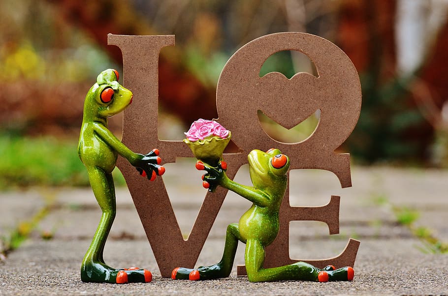 two, frog, brown, love decor, i beg your pardon, marriage proposal, excuse me, sweet, cute, funny