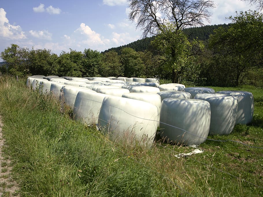 agriculture, cattle feed, silo, food, wrapped up, round bales, bale, slide, meadow, plastic