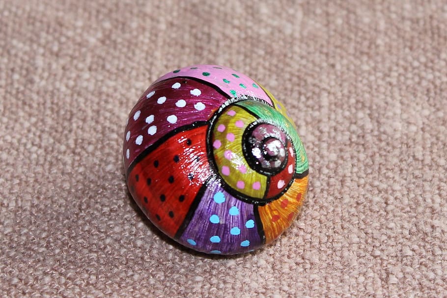 shell, cabaret, spiral, close-up, pattern, multi colored, focus on foreground, spotted, animal, animal themes