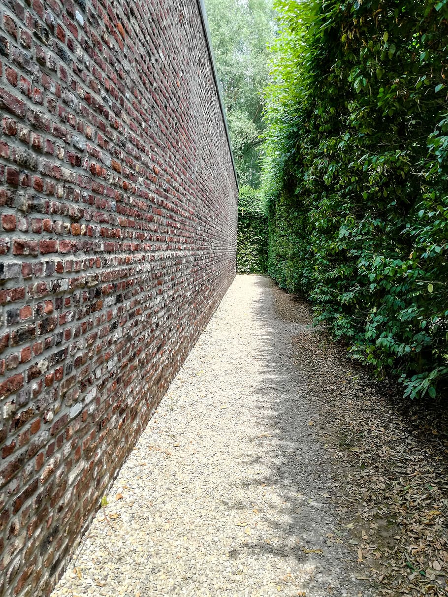 Wall, Hedge, Vanishing Point, perspective, away, vanishing point perspective, pebble, lines, structure, light