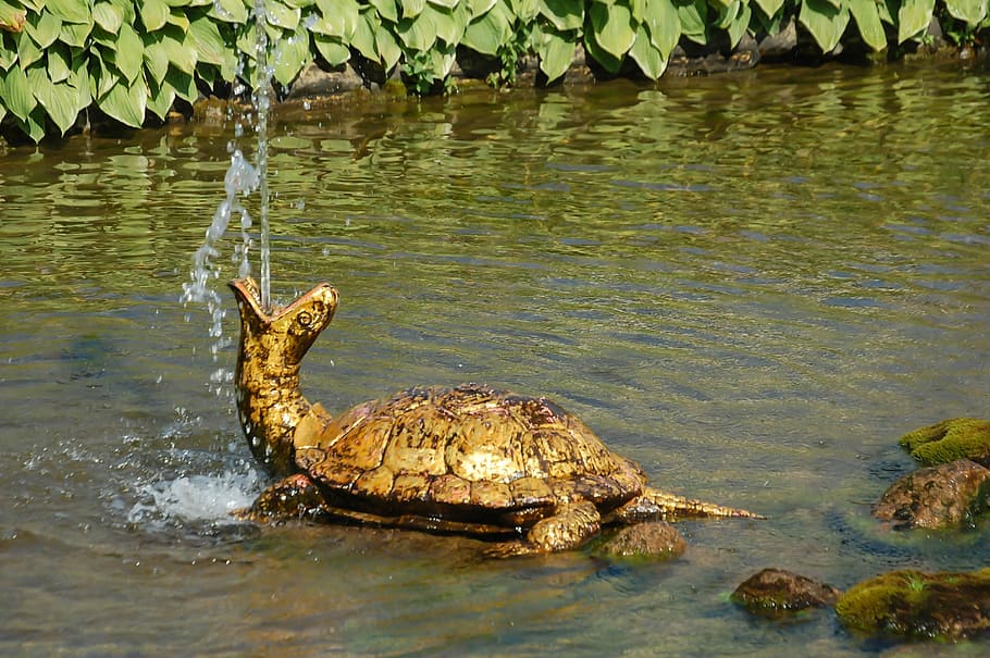 Gold, Tortoise, Fountain, Antiques, Art, drink, drops, the effect of, stream, flowing