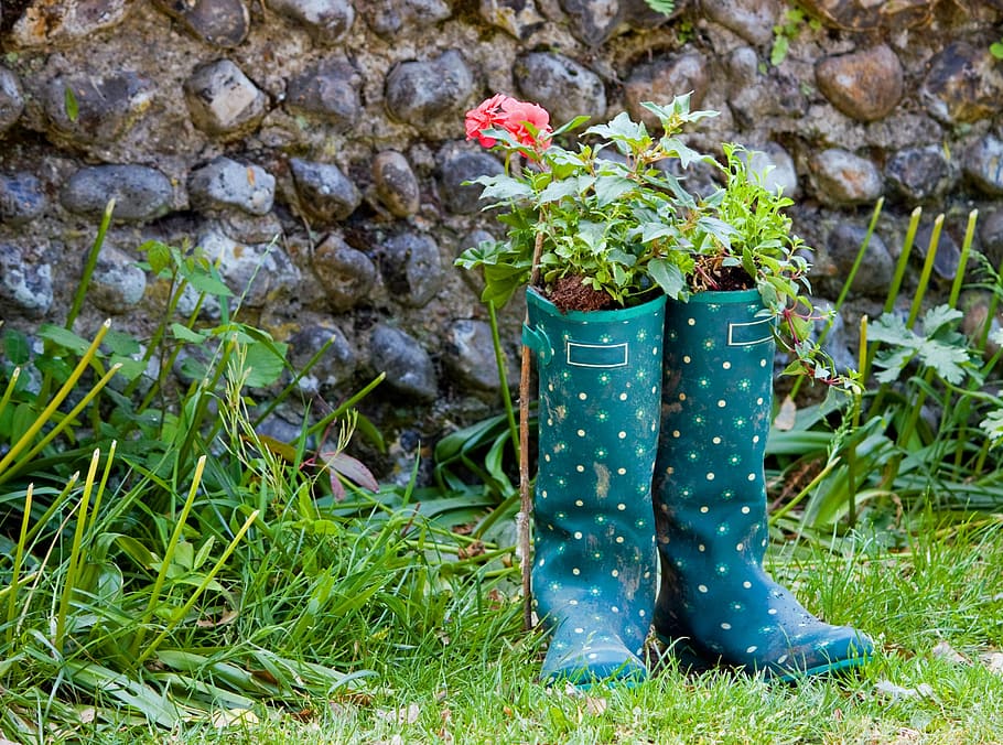 teal, white, boots plant pot, wellington boots, wellingtons, boots, galoshes, green, pretty, flowers