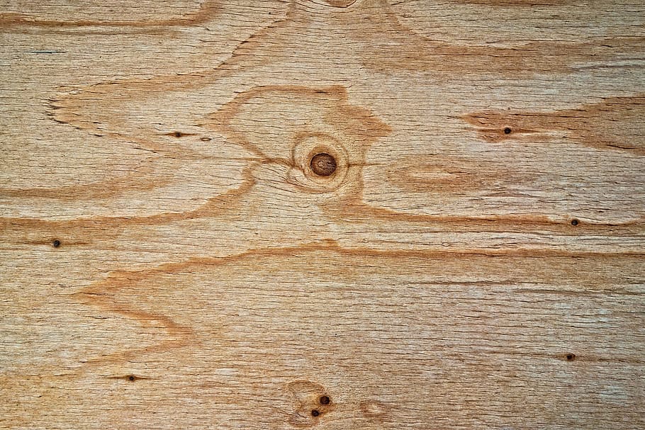 brown, wood, board, panel, grain, pattern, texture, wood background, wood backdrop, wood texture
