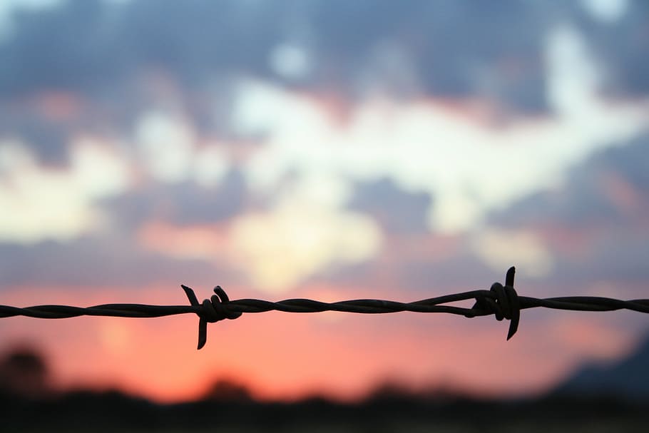 sunset, barbed wire, fence, clouds, protection, safety, security, boundary, barrier, wire