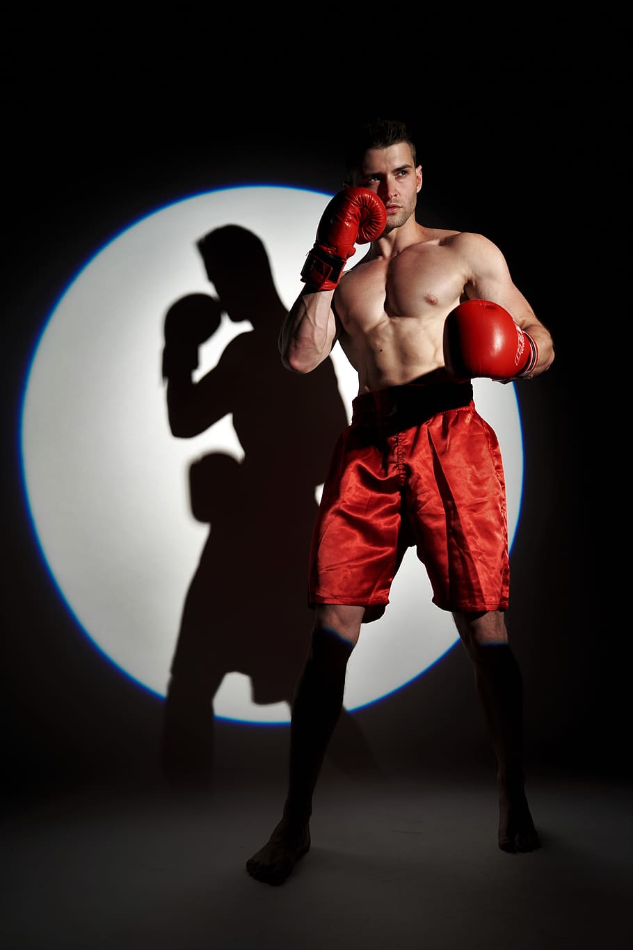 boxing, sport, sports, boxer, battle, gloves, kickboxing, athlete, shirtless, men