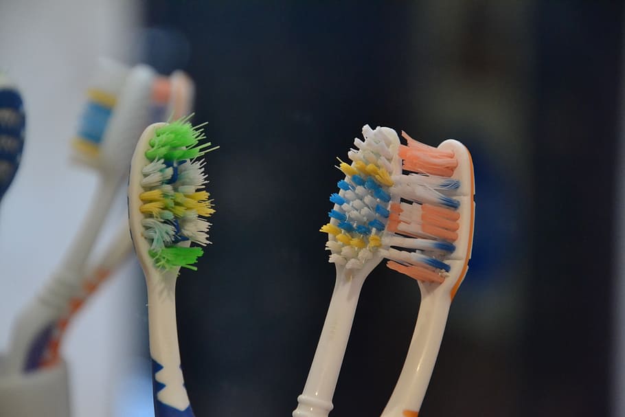several toothbrushes, toothbrush, brush, brushes, wash, brush your teeth, washing, hygiene, teeth, tooth