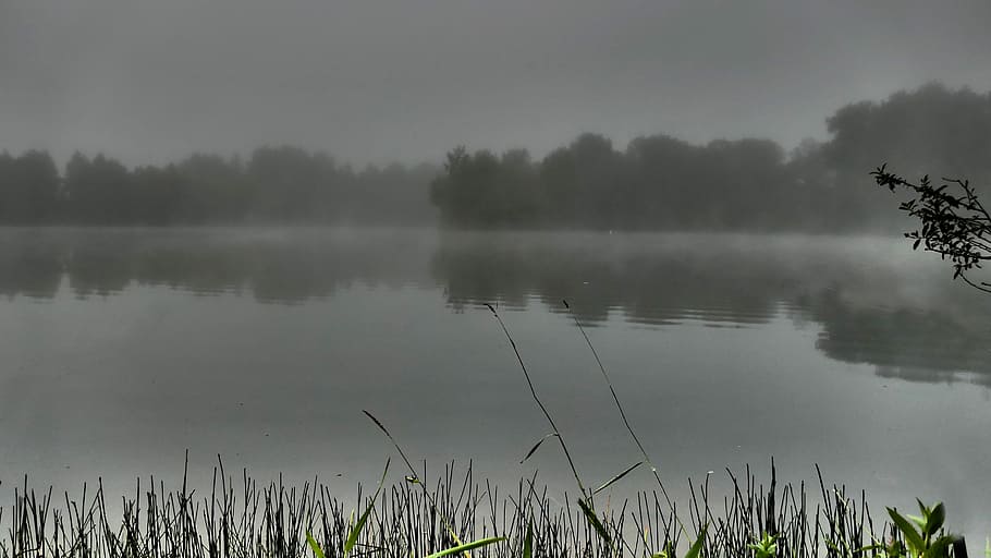 Estado de ánimo, niebla, mañana, hora, agua, lago, hora de la mañana, estanque, caña, banco