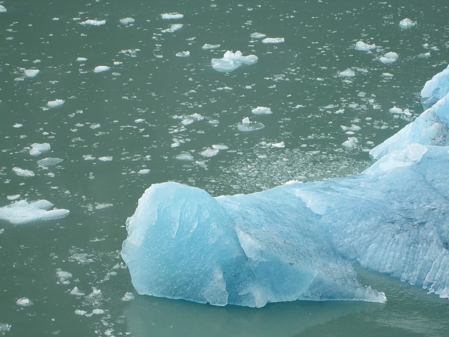 Iceberg, hielo glacial, hielo, azul, congelado, flotante, trozo, agua, frío, alaska