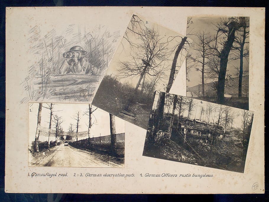 forest photo, frame, camouflaged, road, observation posts, german, bungalows, pencil drawing, soldier, binoculars