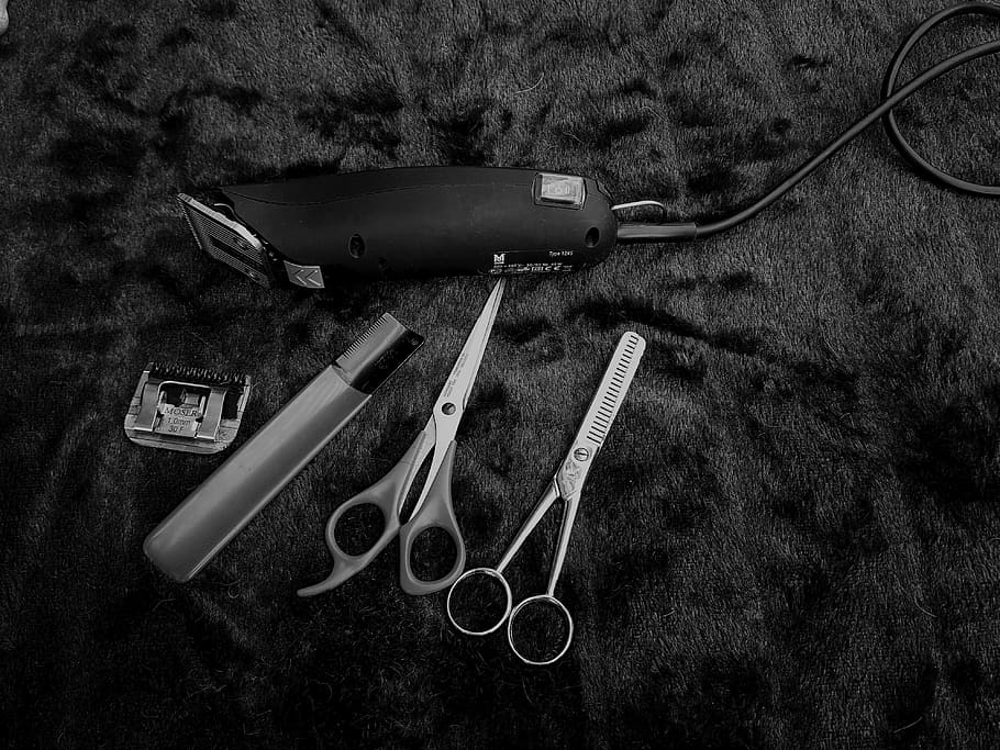 fotografia em escala de cinza, com fio, máquina de cortar cabelo, aparar, tesoura, têxtil, animais, barbeiro, preto e branco, papel de parede preto