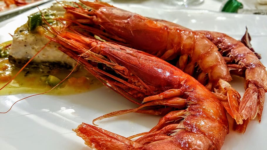 shrimp, fish, appetizer, sushi, first plate, food, kitchen, restaurant, gastronomy, prawns