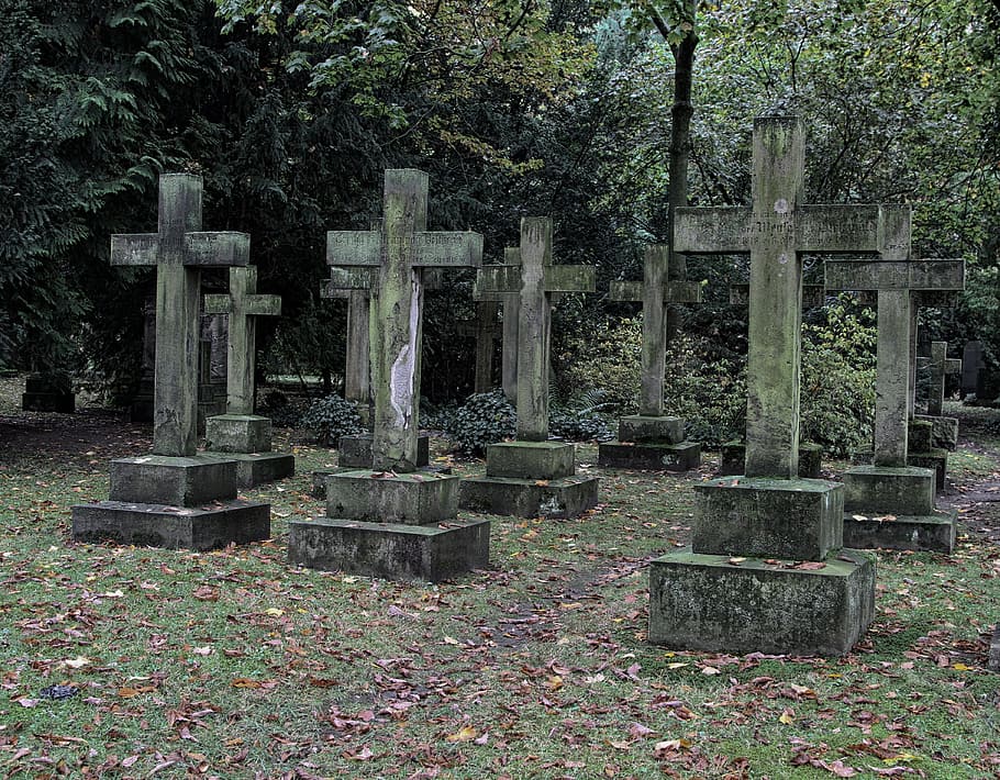 Crosses, Memorial, Old Cemetery, tombstone, cemetery, grave, graveyard, spirituality, plant, tree