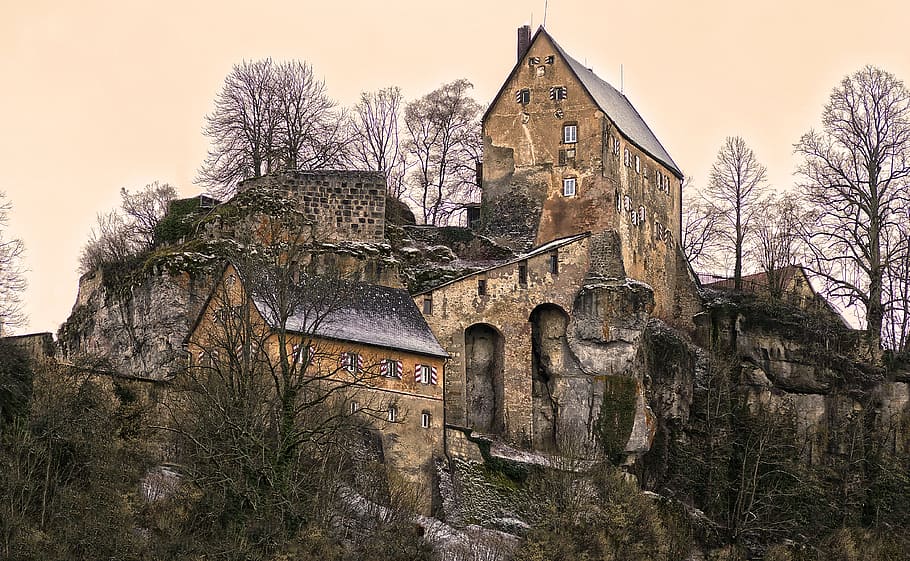 coklat, beton, kastil, tebing, dikelilingi, pohon, kastil puncak, pottenstein, abad pertengahan, tinggi burg