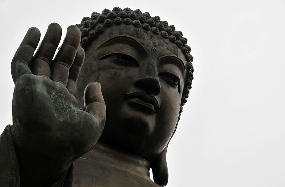estátua de gautama, dia, gautama, estátua, buda, china, hong kong, paz, lótus, escultura