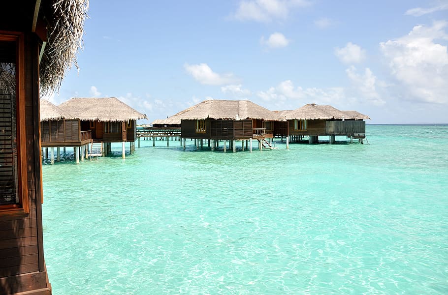 marrom, de madeira, casas de bambu, meio, mar, maldivas, ilha da lua cheia, casa da água, férias, tropical Clima