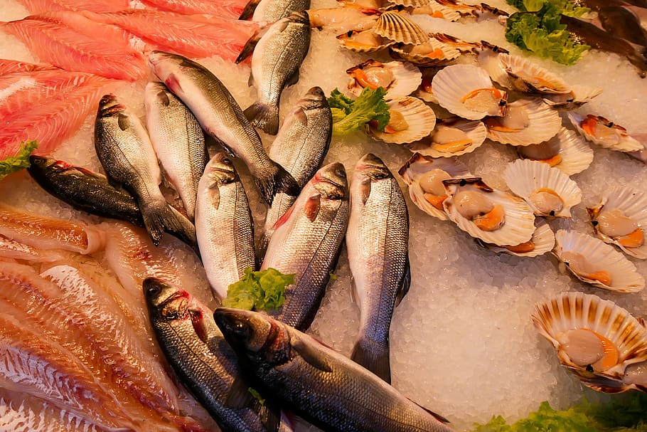 comer, peixe, frutos do mar, mar, comida, animal, animal marinho, fresco, comer peixe, fischhandel