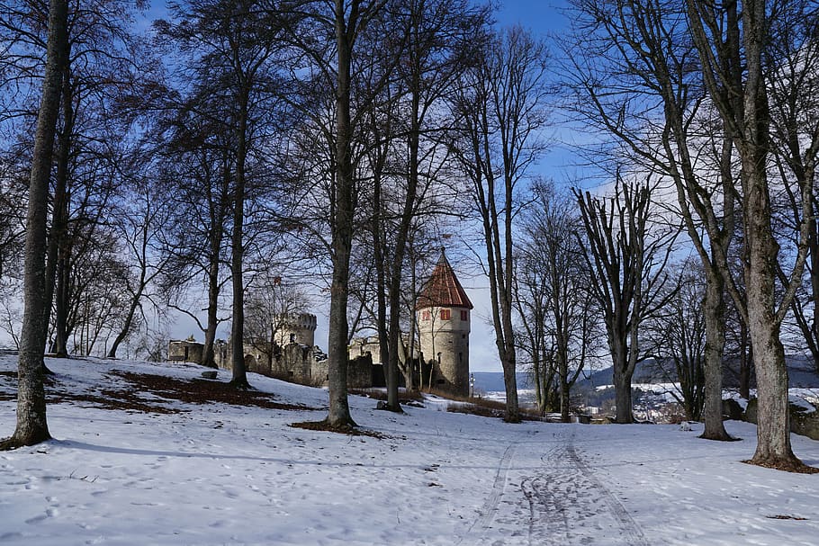 castle, honing mountain, winter, germany, snow, tree, cold temperature, bare tree, plant, nature