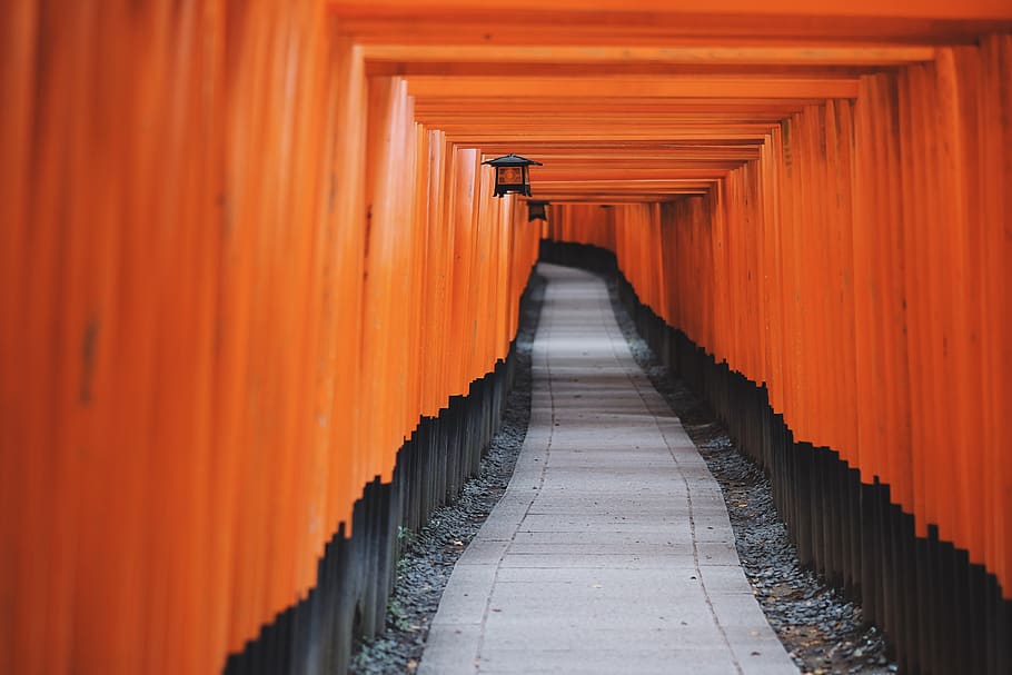 estrada, caminho, túnel, padrão, cascalho, torii, fushimi inari, santuário, kyoto, japão