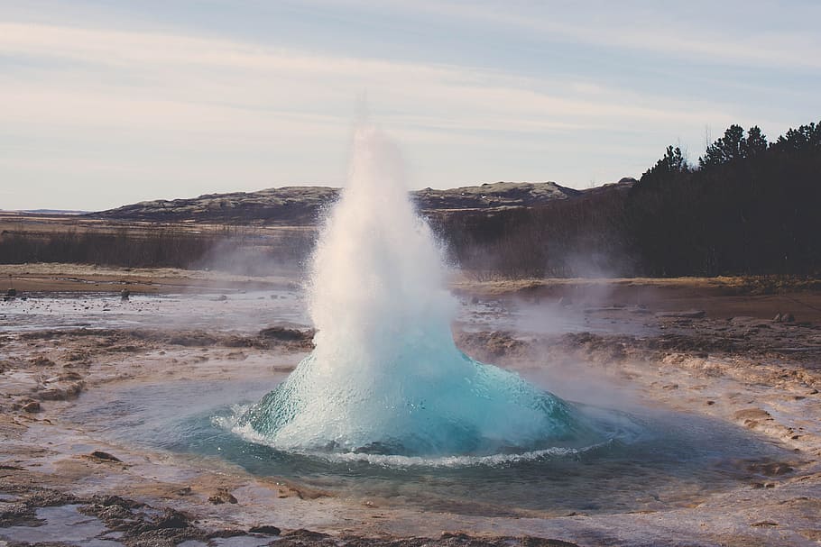 geyser near trees, hot spring, landscape, nature, spurt, steam, water, geology, power in nature, physical geography