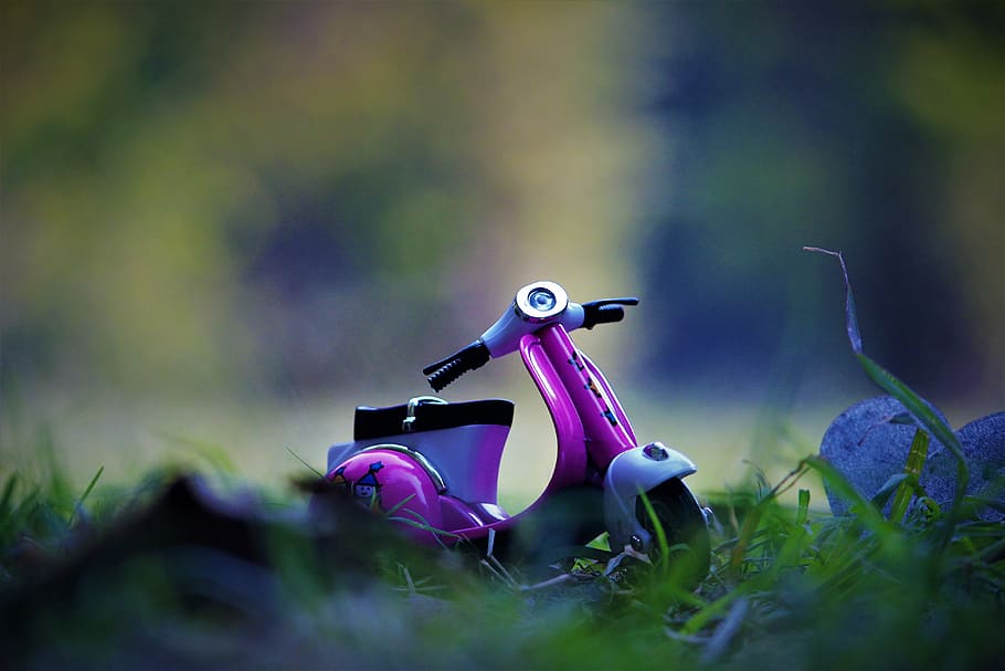 scooter, miniatura, creativo, ciclomotor, lindo, enfoque selectivo, planta, ninguna gente, hierba, naturaleza